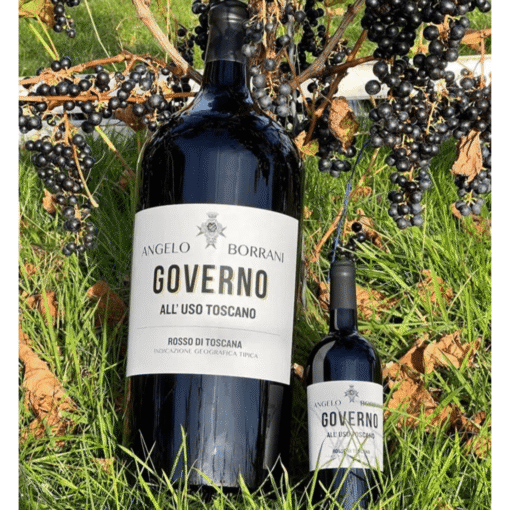 Angelo Borrani Governo All'Uso Toscano Rosso di Toscana 2019 9 liter